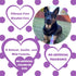 Natural Waterless Bath Spray for Dogs, Calming Lavender, 8oz