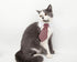 ZTON Pet Bowtie, Handcrafted Adjustable Formal Collar Neck Tie for Dogs & Cats (S, Black Stripe)