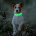 BSEEN Light Up Dog Collar, Rechargeable LED Reflective Pet Glow Collar for Night Walking (Neon Green, Medium)