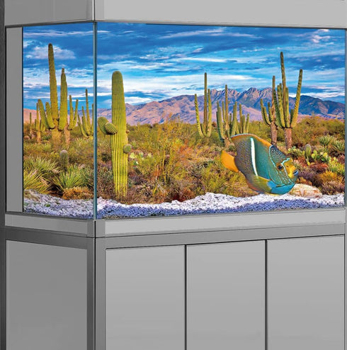 Reptile Habitat Background Rock Oasis Cactus Desert Terrarium Background 36x18in with 10 EVA Double-Sided Tape