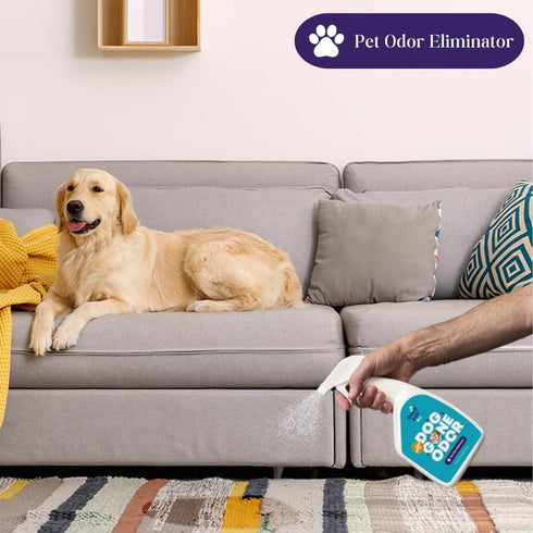Dog Gone Pet Odor Reducer, Fresh Air Formula, 32 oz - 2 Pack, Effective Surface Freshener, Reapply Every 30-60 Days