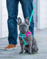 Blueberry Pet Valentine's Day Dog Leash, Gothic Grape, Velvety Soft-Touch Heart Flocking Lead for Small Dogs, 5 ft x