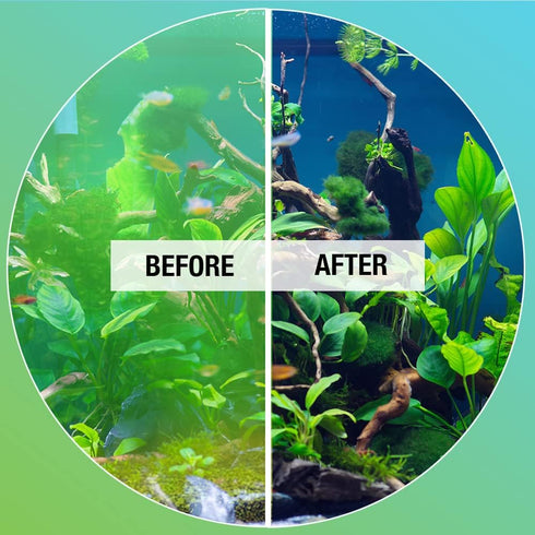 MICROBE-LIFT ALGAA08 ALGAWAY 5.4 - Algae Control for Fresh and Salt Water Home Aquariums, 8 Ounces