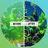 MICROBE-LIFT ALGAA08 ALGAWAY 5.4 - Algae Control for Fresh and Salt Water Home Aquariums, 8 Ounces