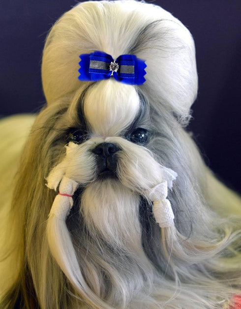 YOY 24pcs / 12 Pairs Adorable Grosgrain Ribbon Pet Dog Hair Bows with Rubber Bands for Grooming Accessories
