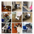 Cat Self Groomer Wall Corner - Massage Comb Grooming Brush, Soft Rubber Bristles for Flat Wall Corner, Blue