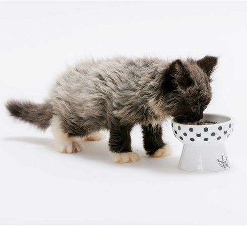 Necoichi Raised Stress Free Cat Food Bowl, Elevated, Dishwasher and Microwave Safe, Cat Dots, Mini