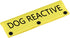 Funny Dog Leash Sleeve, Dog Reactive Wrap Alert Hanging ID Patch Tag, Pet Birthday Gift (Dog Reactive-YE Sleeve)
