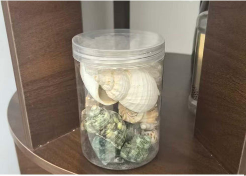 CHINGE ZHI Set, Natural Hermit Crab Shell Small to Medium Size