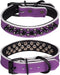 Spiked Studded Genuine Leather Dog Collar, Adjustable for Small or Medium Pets (M, Purple-1)