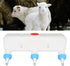 Jauarta 3 Pacifier Small Animal Milk Feeder Piglet Puppy Baby Lamp Goat Milk Feeder Farm Drinking Equipment