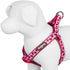 Blueberry Pet Essentials 2 Patterns Step-in Ladybug Designer Dog Harness, Chest Girth 16.5" - 21.5", Small