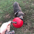 Jolly Pets Romp-n-Roll Dog Toy, 8 Inches/Large, Rope and Ball, Red (608 RD)