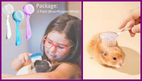 3PC Chinchilla Small Animal Bath Brush with Lid Soft Cleansing Brush Massage Combs for Hedgehog Guinea Pig Rabbit