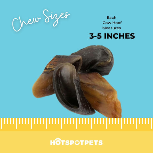 hotspot pets Full-Size Cow Hooves for Dogs | All-Natural Long Lasting Chews from Grass Fed Cattle