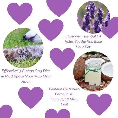 Natural Waterless Bath Spray for Dogs, Calming Lavender, 8oz