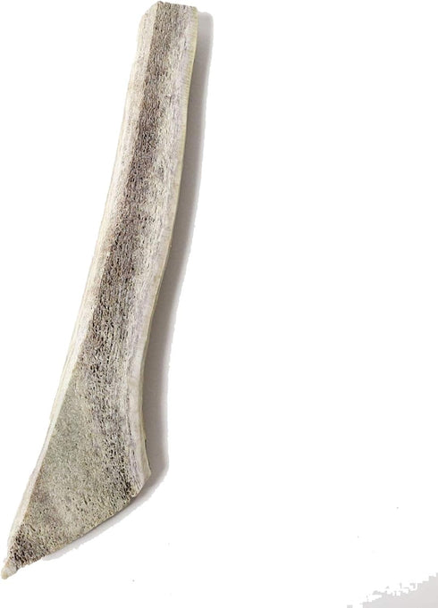 Prairie Dog Antlers, North American Split Elk Antler, SMALL, 4-5.5 inches