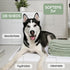 New! Hartz True Coat Thick Coat Dog Shampoo, Desheds & Softens with Oat Milk, Coconut Oil & Aloe
