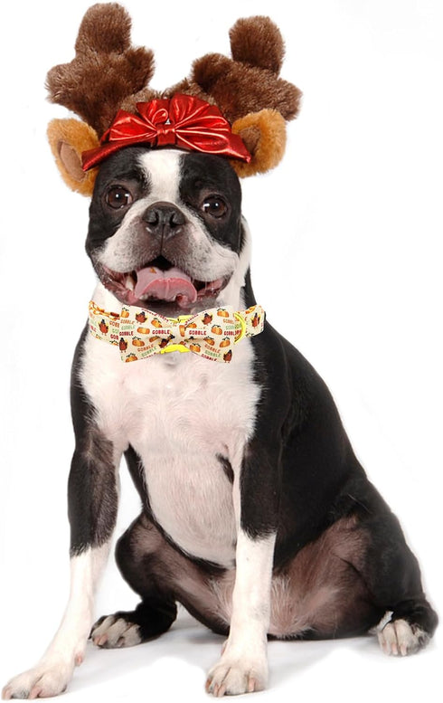 Dog Collar, Thanksgiving Turkey Pet Collar Bow, Holiday Adjustable Collar for X-Large Dogs