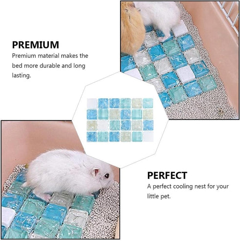2pcs 10x6.5cm Sosoport Hamster Cooling Pads - Pet Cooling Stone Mat for Small Animals - Hamster Plate Small Animals