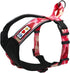 Pawtitas Reflective Dog Harness, Padded Comfort Control for Walks or Runs, Small Pink Dog Vest
