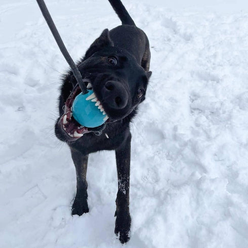 Dog Ball on a Rope Tug Toy - Rubber Fetch Training Reward for Large Dogs, Durable for Indestructible Chewers