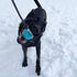 Dog Ball on a Rope Tug Toy - Rubber Fetch Training Reward for Large Dogs, Durable for Indestructible Chewers