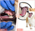 Durable Rubber Slipper Dog Chew Toy for Puppy, Interactive Tough Toys for Pet Training and Cleaning Teeth, Aggressive
