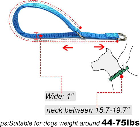 Reflective Slip Collar | Loop Dog Collar for Training with Soft Padded in Teal 22", 1" Wide