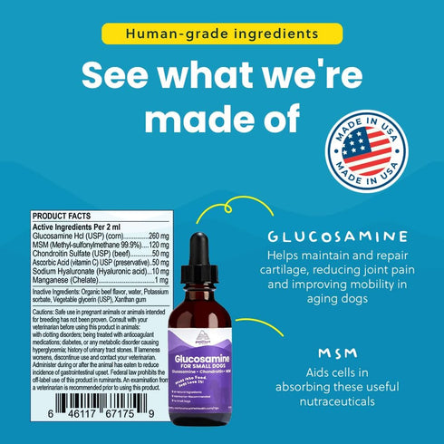 Liquid Glucosamine for Small Dogs, 260mg Joint Supplement for Mobility & Comfort, Easy-to-Use Liquid MSM & Chondroitin,