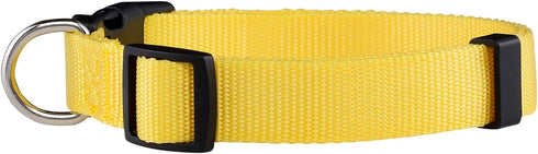 Native Pup Basic Nylon Dog Collar, Adjustable for Small Medium Large Pets, Cute Colors for Boys and Girls (Medium,