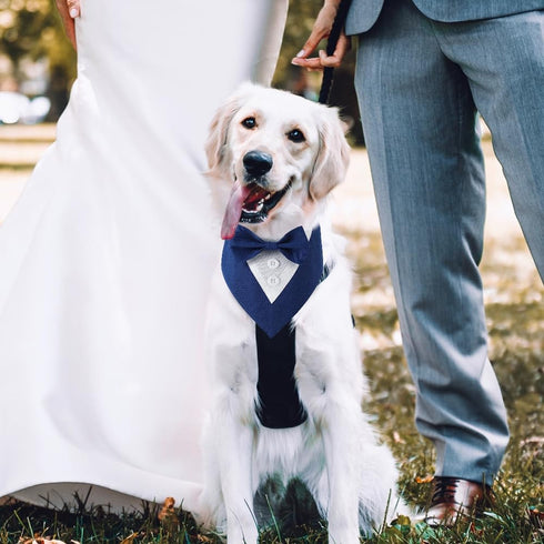 Dog Wedding Bandana, Adjustable Formal Tuxedo Pet Collar with Bow for Small Medium Large Dogs, Birthday Gifts, Medium,
