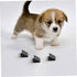 6pcs Yardwe Ceiling Mount Bracket for Dog Potty Pads Puppy Training Mats Wall Mount Holder for Dog Mats
