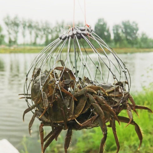2Pcs Counterweight 7.87X7.87X7.08In Hemoton Wire Mesh Crab Trap Cage with Auto-Opening Bait Pin and Reusable Crab
