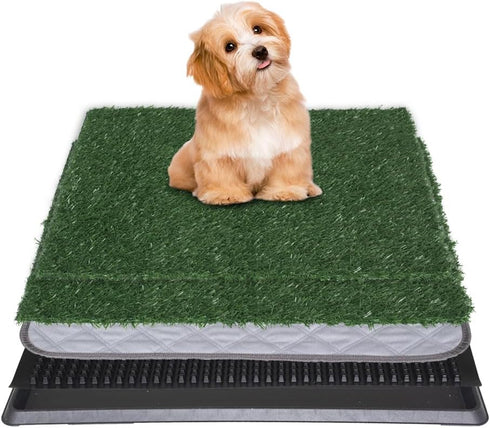 Reusable Training Pad Potty with 2-Pack Replaceable Artificial Grass Quick Absorbent Indoor
