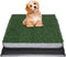 Reusable Training Pad Potty with 2-Pack Replaceable Artificial Grass Quick Absorbent Indoor