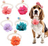Pet Pearl Flower Collar, Elastic Cat Choker Necklace, Dog Cat Jewelry Accessory for Puppy (Rose Red)