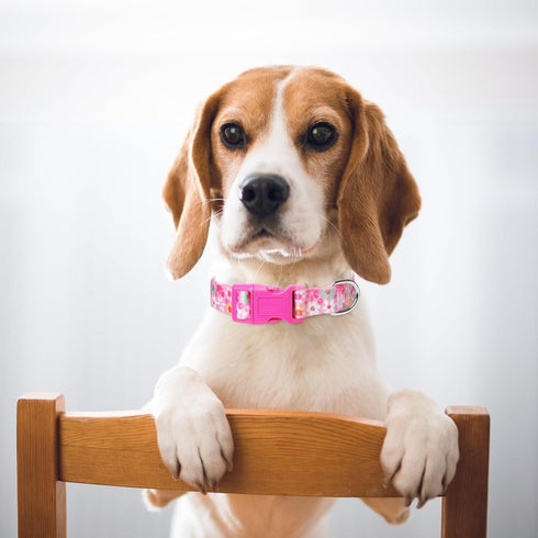 Pink Adjustable Dog Collar for Girl Dogs, Cute Flower Soft Nylon Collar for Small Medium Large XL Dogs (Floral XS)