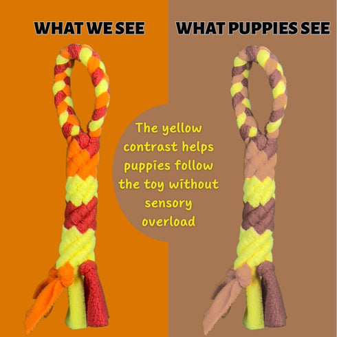 3-in-1 Chelsy's Toys Enrichment Tube for Puppies - Tug Toy, Treat Dispenser & Snuffle Ball | Tug of War | Interactive