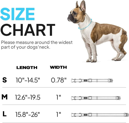 TwoEar Heavy Duty Reflective Dog Collar, Adjustable Nylon Pet Collar with Durable Buckle for Small Breeds Dog (S,