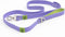 Heavy Duty Waterproof Dog Leash, 6FT Long & Extra Wide, Easy to Clean (Lavender/Green)