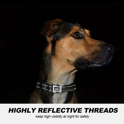 TwoEar Heavy Duty Dog Collar, Adjustable Reflective Nylon Pet Collar with Metal Buckle, Soft Neoprene Padded for Large
