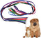 6 Packs Slip Lead Dog Leash, Durable and Comfortable for Cats, Dogs, and Small Animals