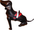 HDP Big Dog Soft No Pull Harness, Medium Size, Red Color