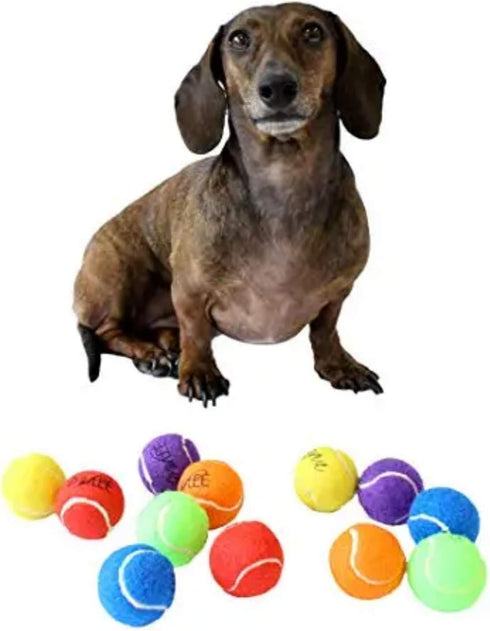 Midlee Mini Dog Tennis Balls with Squeaker, Set of 12 Solid Colors, 1.5"
