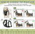 SlowTon Dog Seat Belt Harness for Car, Dog Car Harness Adjustable Mesh Breathable & Dog Seatbelt Safety Tether