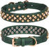 Spiked Dog Collar, Adjustable Mushrooms Rivet Studded Pu Leather Pet Collars for Cats and Dogs, L, Green3