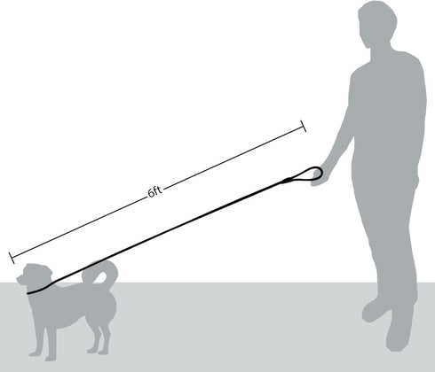 Friends Forever Premium Quality Dog Rope Leash, 6FT Reflective, Thick Heavy Duty, No Pull, Red