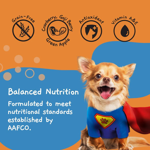 MOOCHIE Grain Free Wet Dog Food for Small Breed, Duck with Cranberry, 3 oz x 12 Pouches