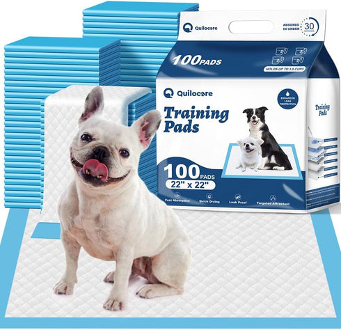 100 Count 22 x 22 Disposable Dog Pee Pads, Super Absorbent Leakproof